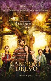 ČAROBNO DREVO